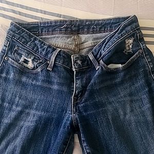 Levi's Bold and Curvy